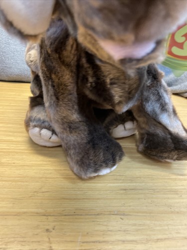 Vintage Ty 2001 Beanie Buddy Trumpet the Elephant Plush Stuffed Animal KG - Picture 10 of 19