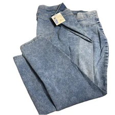Terra & Sky Size 4X (28W-30W)  Pull On Jegging  Blue Stretch High Rise Skinny