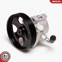Esen SKV Hydraulikpumpe Lenkung 10SKV031 FüR 306 Peugeot CitroËN Aluminium 7B N3