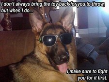 German Shepherd refrigerator magnet 