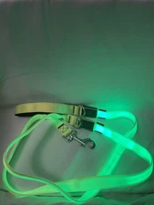 Dog Leash 6Ft LED Light up Green, 3 Lighting Modes, Glow Night USB Rechargeable