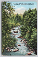 West Prong of Little Pigeon River Great Smoky Mountains National Park Postcard