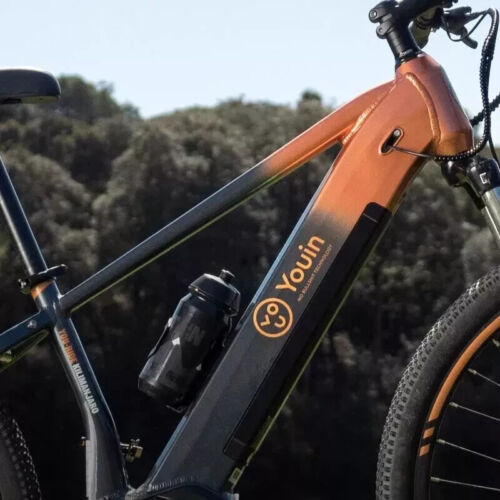 29 Zoll eBike Mittelmotor Elektrofahrrad 250W Cityrad 25km/h E Mountainbike - Bild 4 von 17