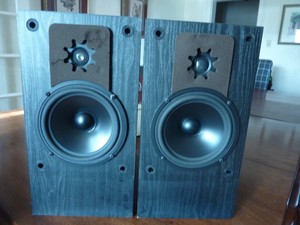 signet speakers