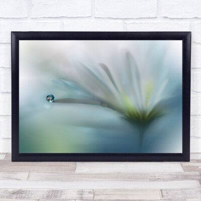Aquarell Blume l Tropfen Tropfen weich zart sanft Wandkunstdruck