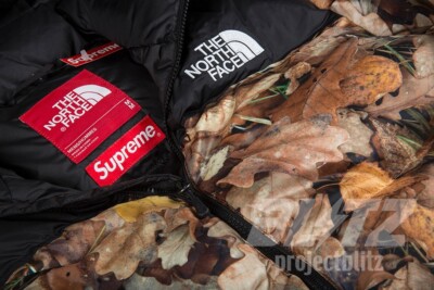 FW16 SUPREME THE NORTH FACE NUPTSE JACKET LEAVES TNF SIZE L LARGE