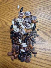 70g Mixed Bean Seeds