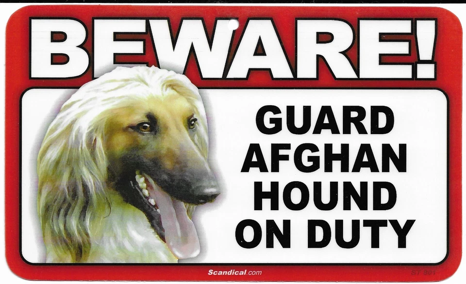 Scandical Plastic Beware! Guard Dog On Duty Mulitple Breeds - Image 2 of 4