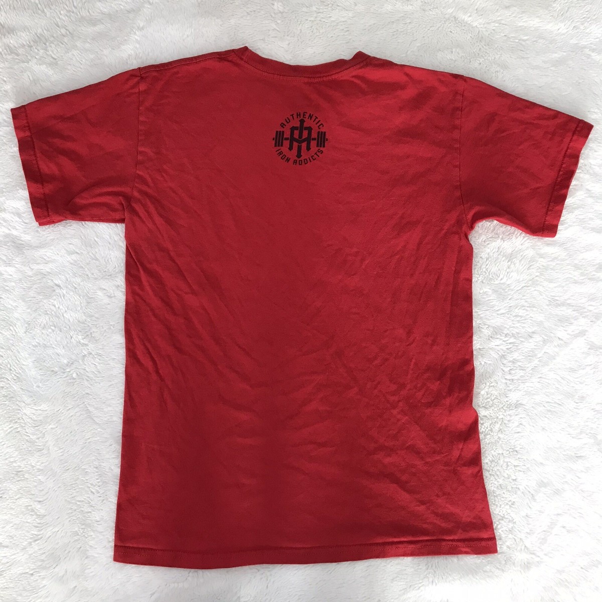 [SCHISM INDUCING] HF SHIRRING T SHIRT /追跡付 RARE DRAGONFORCE - Reaching Into Infinity - T Shirt - Men's