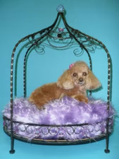 Jeweled Princess Pet Bed - Lavender