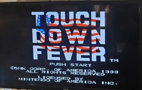 Touchdown Fever Nintendo NES Authentic Tested