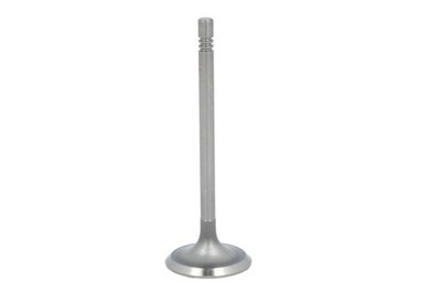 For PARADOWSCY PVWG035 Intake Valve PVWG035 Exhaust Valve (34.5x6x99.2) fits: S