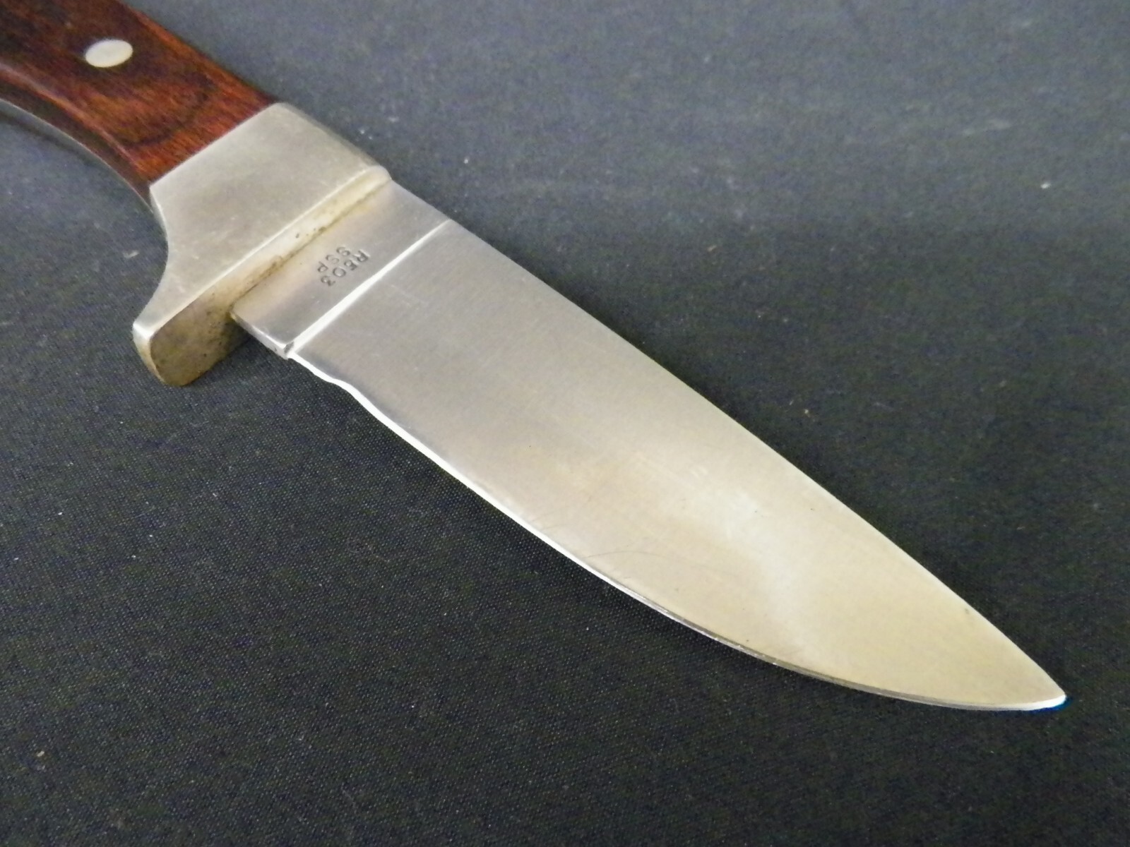 Case XX SS R503 SSP Arapaho Fixed Blade Knife w/ Sheath eBay