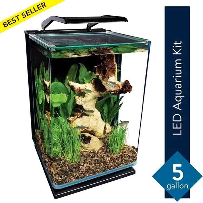 Glass Aquarium Fish Tank Kit 5 Gallon Water Tank LED Light Hidden  Filtration NEW | eBay