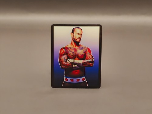 CM Punk Vinyl Sticker Best In The World Cult Of Personality Wrestler Decal - Picture 16 of 26