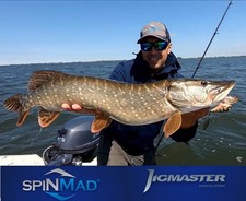 3 x SPINMAD JIGMASTER 24g spinning tail spinner Pike Perch Chub Trout Spin Mad
