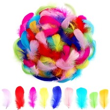 300pcs Colorful Feathers 2-3 Inches Bulk Feathers for Crafting