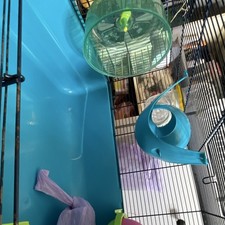 Savic 2 Tier Plastic Base Small Animal Cage for Hamster Gerbil Mouse Tunnel