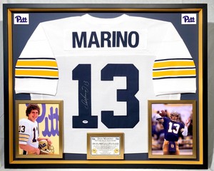 dan marino pitt jersey