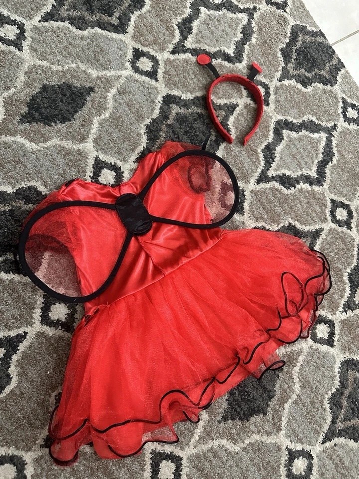 ¡¡¡Disfraz de Ladybug 2t para niñas!!! 🐞 Foto 2 de 4