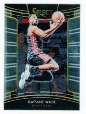 2018-19 Panini Select - Concourse Dwyane Wade #36