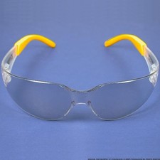 DeWALT Protector Safety Glasses Indoor/Outdoor Lens