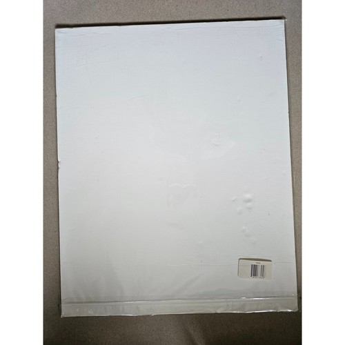 New, Sealed Signed 2006 Nan Haiyan V-J Day Art Print 16" x 20" - Picture 6 of 6