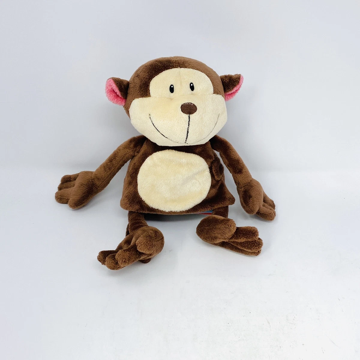 Monkey kittens 2024