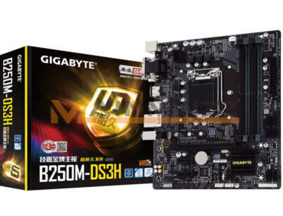 GIGABYTE B250M-DS3H DDR4 64G Micro-ATX LGA1151 Motherboard NEW #WD10