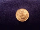 1902 Indian Head Cent MS Uncirculated Lustrous Brown Toned A SCREAMER   AHHHHHHH