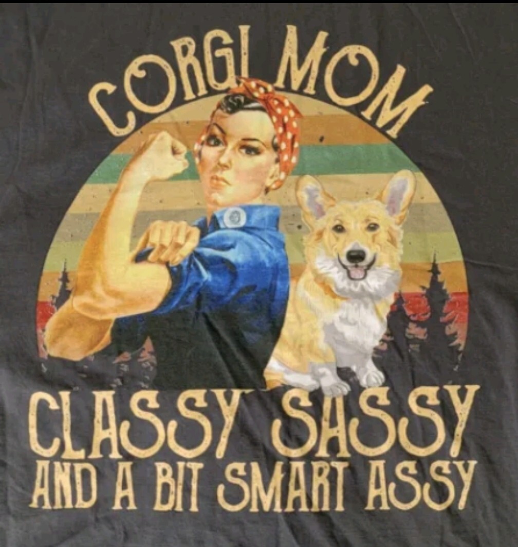 CORGI MOM Classy Sassy A Bit Smart Assy Brownish Gray Grande