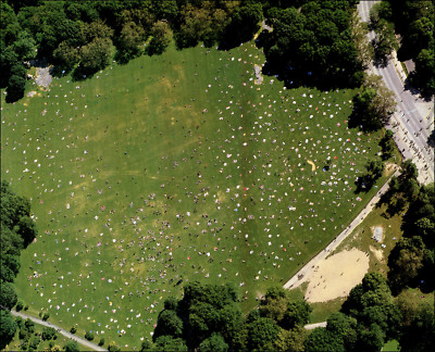 1988 Vintage Print Sheep Meadow Park Great Open Lawn New York City Aerial View