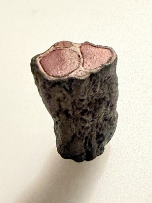 meat-shaped tree stump accessory included with the NECA Gargoyles Ultimate Bronx