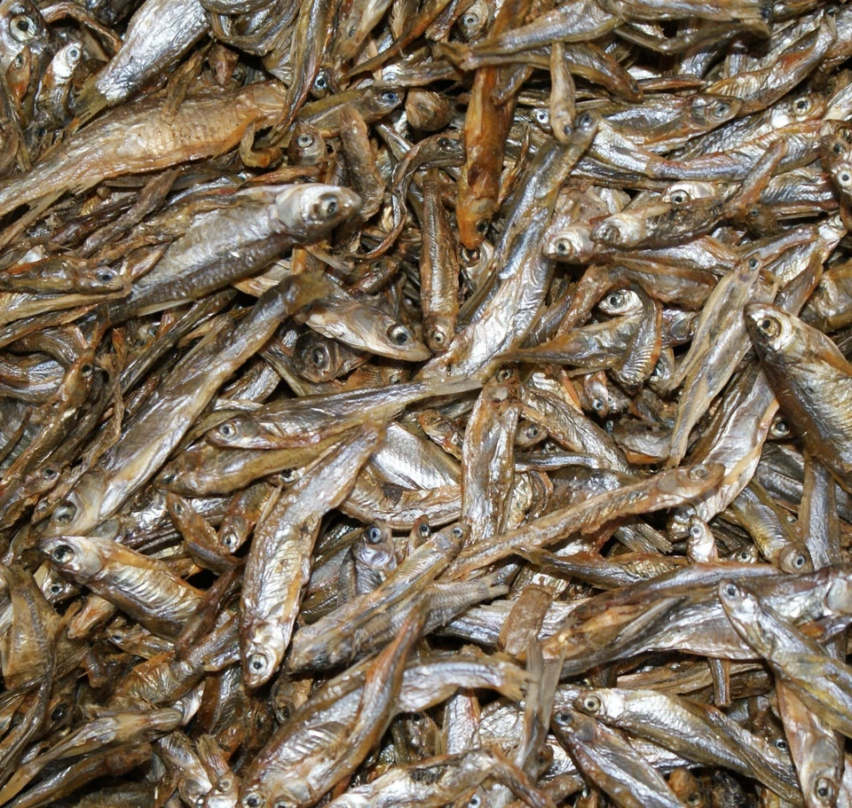 Golosinas Wild Caught liofilizadas crudas para perros y gatos 2,5 onzas 1-3" Foto 4 de 4