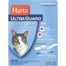 Hartz Kitten Cat F T Collar