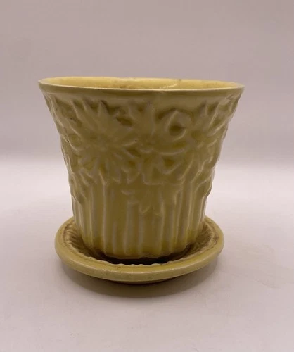 Yellow McCoy Daisy Planter