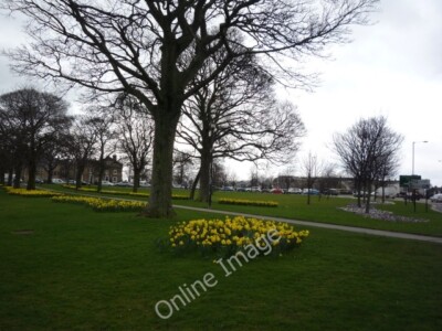 Photo 6x4 Towards the Empress Roundabout Harrogate Daffodils and crocuses c2010