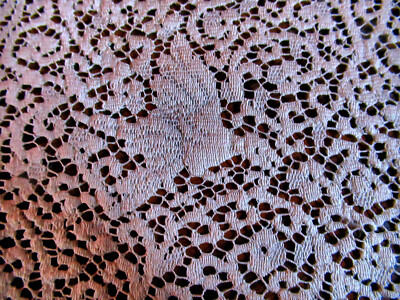 Vtg Table Runner 52'' Quaker Lace Faux Figural Cantu Bird Knotted Fringe