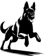 Adesivo MALINOIS - adesivo auto Malinois - sticker - contorno Malinois #56