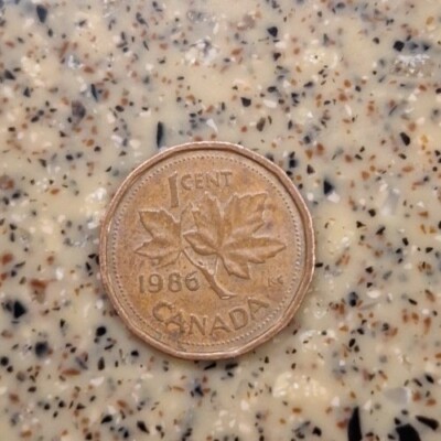 Circulated 1986 Canadian One Cent Piece (Penny) Elizabeth II D.G.