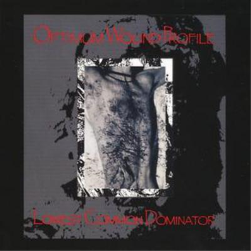 Optimum Wound Profile Lowest Common Dominator (CD) Album