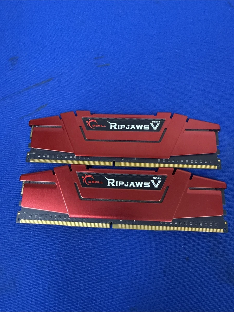 G. SKILL PC4-21300 (DDR4-2666) Bus Speed DIMM Computer Memory (RAM