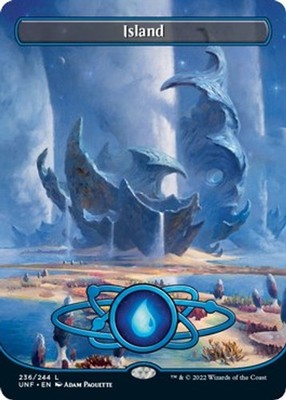 NM - Island (Borderless) [UNF - 236] Unfinity