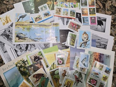 Vintage Nature Themed Ephemera Junk Journal Paper Crafts Glue Book 70+ Pieces
