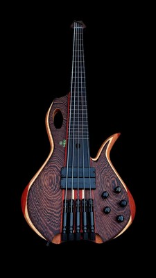 5 string fretless headless bass