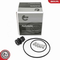 Esen SKV Reparatursatz, Unterdruckpumpe (Bremsanlage) FüR Volvo