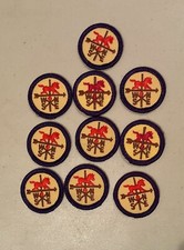 Retired Junior Girl Scout Pop Arts Horse Expl...