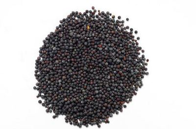 Schwarze Senfsamen - 500 g