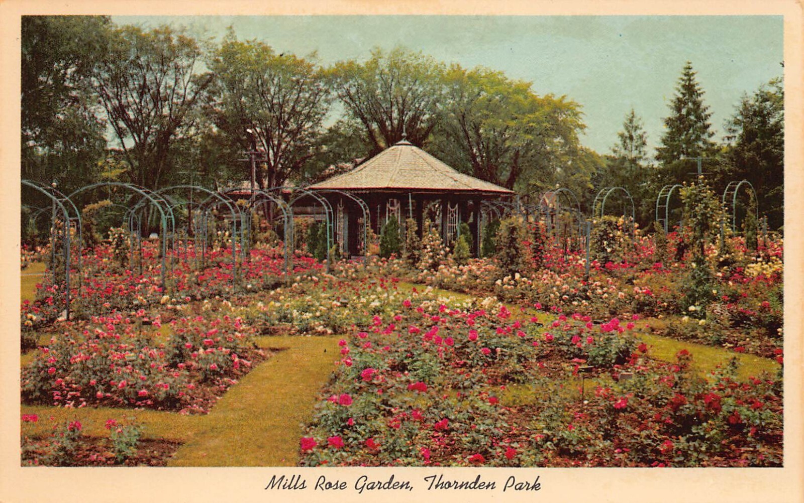 Flowers Near Syracuse Ny Best Flower Site