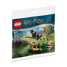 LEGO Konstruktionsspielzeug Harry Potter Quidditch Training Mehrfarbig